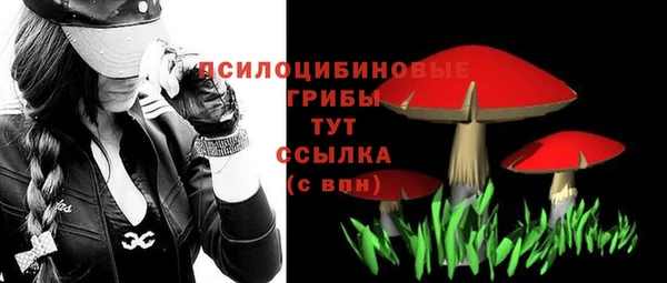 прущие крисы Армянск