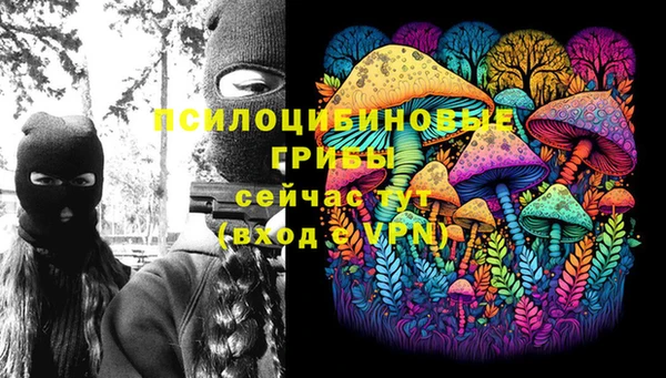 прущие крисы Армянск