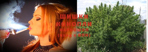MESCALINE Аркадак